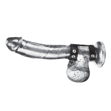 Blue Line Men Duo Snap Cock And Ball Ring